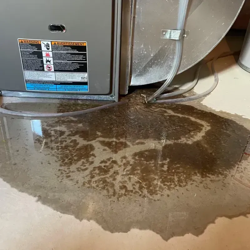 Appliance Leak Cleanup in Chattanooga, TN